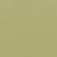 Coala Interior Film Color