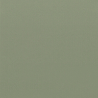 Coala Interior Film Color