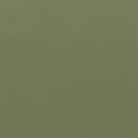 Coala Interior Film Color