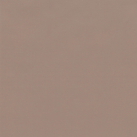 Coala Interior Film Color