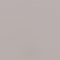 Coala Interior Film Color