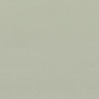 Coala Interior Film Color