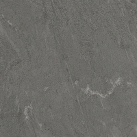 Coala Interior Film Stone