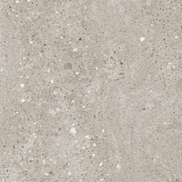 Coala Interior Film Stone