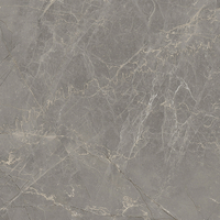 Coala Interior Film Stone