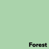 Image Coloraction