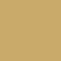 Intercoat 9996 gold metallic