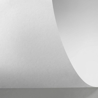Rives Sensation Recycled Gloss Tactile