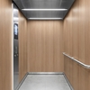 3M DI-NOC Wood Interior Films