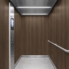 3M DI-NOC Wood Interior Films