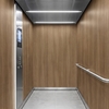 3M DI-NOC Wood Interior Films
