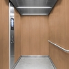 3M DI-NOC Wood Interior Films