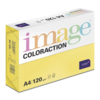 Image Coloraction