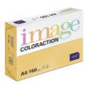 Image Coloraction