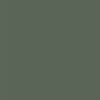 Coala Interior Film Color