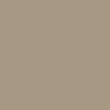 Coala Interior Film Color