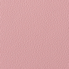 Coala Interior Film Color