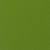 Coala Interior Film Color
