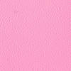 Coala Interior Film Color