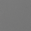 Coala Interior Film Color