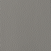 Coala Interior Film Color