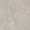 Coala Interior Film Stone