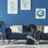 Coala Photo Gloss/Satin
