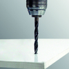 Coala Vertical STAND