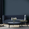 Coala Interior Film Color