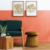 Coala Interior Film Color