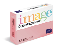 Image Coloraction